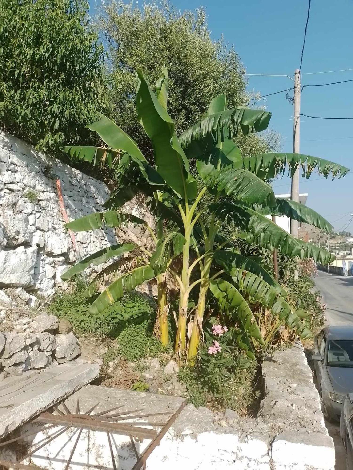 Vogklis House Hotel Qeparo Luaran gambar